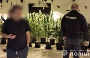 Контрабандист-гений за решеткой: поставляв канабіс у тюрму на Львівщині