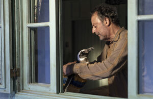 Трейлер фільму «Мій друг пінгвін» з Жаном Рено