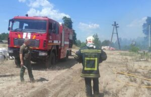 Пожежа в селі Борутине припинена рятувальниками.