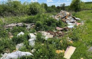 Незаконна свалка поблизу Городка
