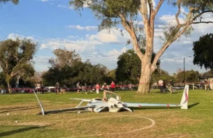 Глухая женщина выжила после того, как ее сбил упавший самолет в Калифорнии во время прогулки с собакой