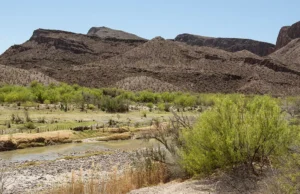 Свободный вход в государственные парки Техаса 2 ноября