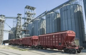 Рекордні перевезення зерна по залізниці у липні: тенденції на аграрному ринку