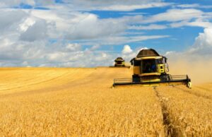 Аграрии Полтавщини побили рекорд: зібрано практично мільйон тонн нового врожаю