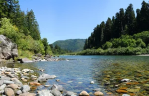 Токсичный секрет течёт по самым диким рекам Калифорнии