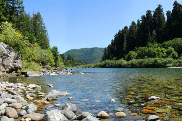 0a155218379c1a88cdf82f22efb35214