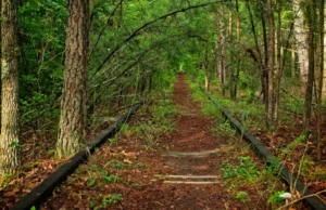 В Нью-Джерси заброшенные железнодорожные пути превращаются в красивые и полезные зеленые зоны