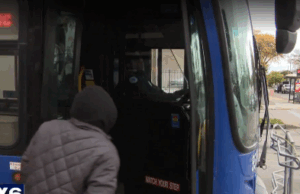 Законопроект о введении оплаты за проезд: лидер Висконсина предлагает запретить бесплатные поездки на автобусах