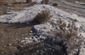 Департамент охраны окружающей среды Нью-Мексико проводит опрос о PFAS в озере Холломан