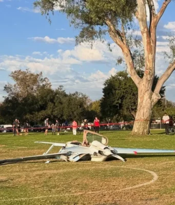 Глухая женщина выжила после того, как ее сбил упавший самолет в Калифорнии во время прогулки с собакой