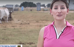 Засуха в Техасе и ее влияние на скотоводов и их стада